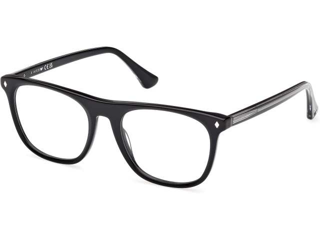 Web Eyewear WE 5462 005 54
