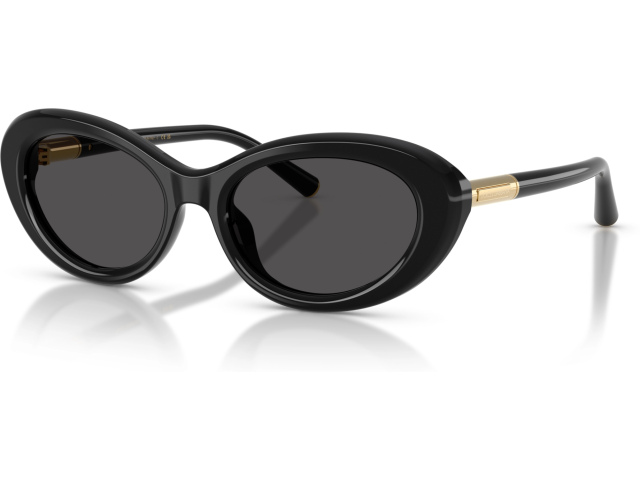 Dolce & Gabbana DG4519 501/87 Black