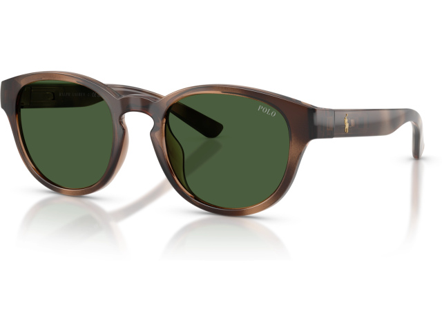 Polo PH4233U 607071 Tortoise