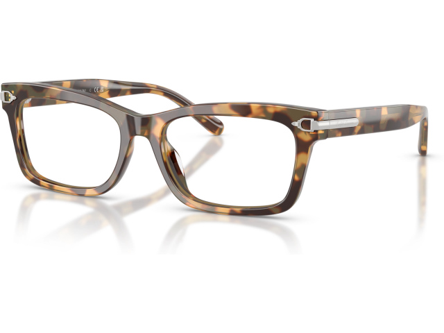 Ralph Lauren RL6255U 6178 Brown