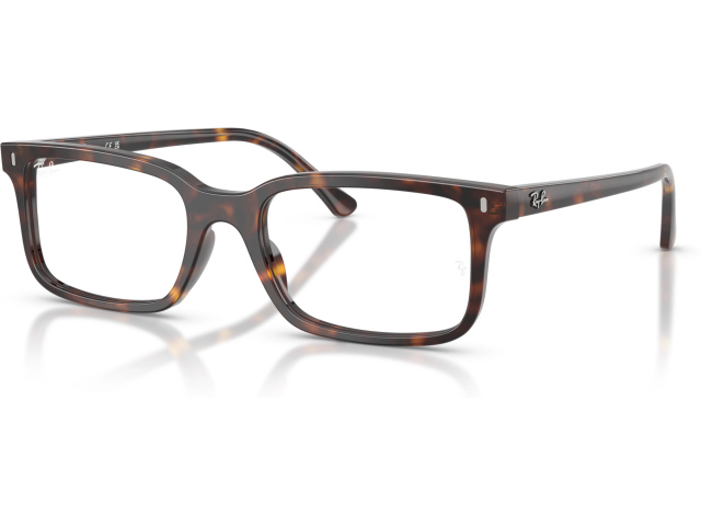 Ray-Ban RX5445 2012 Tortoise