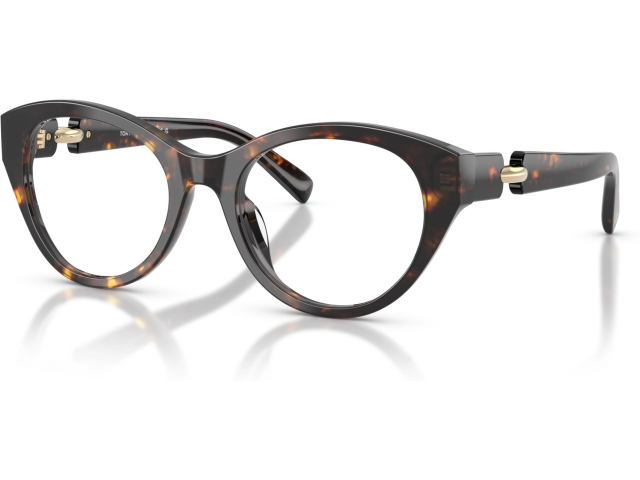 Tory Burch TY2160U 1981 Tortoise