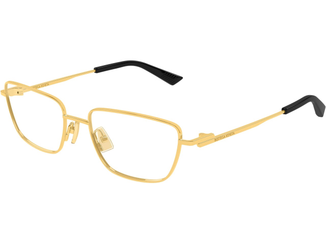 Bottega Veneta BV1385O-003 54 ������