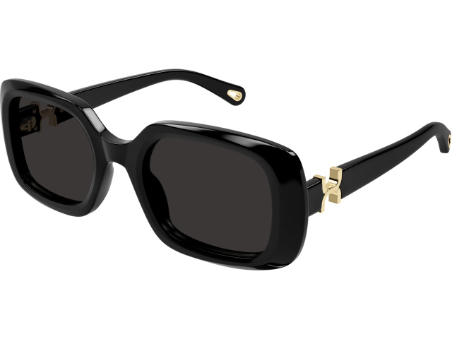 Chloe CH0333S-001 53 ���� ��������������