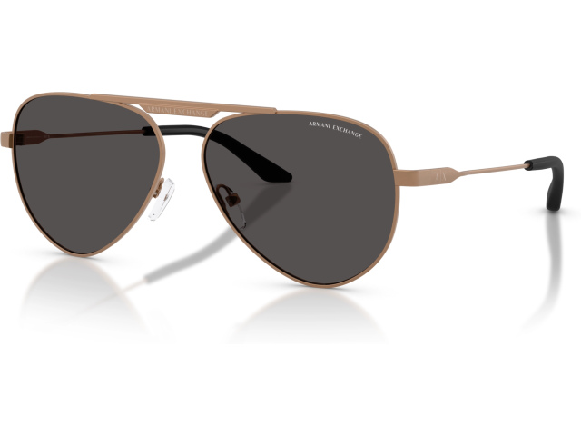 Armani Exchange AX2060S 610687 Copper