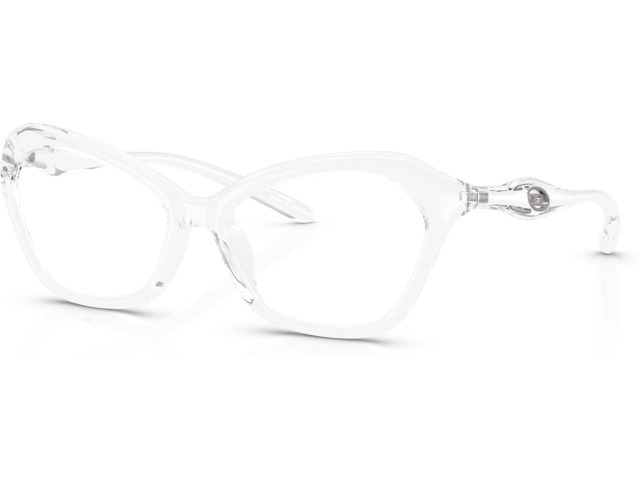 Diesel DL6003U 2005 Transparent