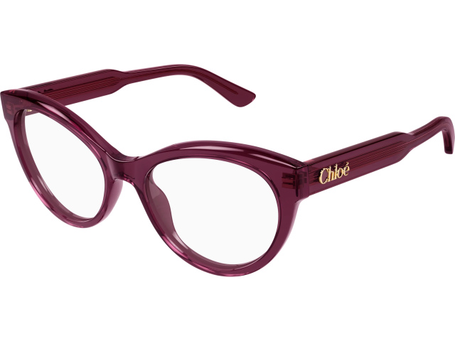 Chloe CH0342O-010 54 ��� ����� �������������