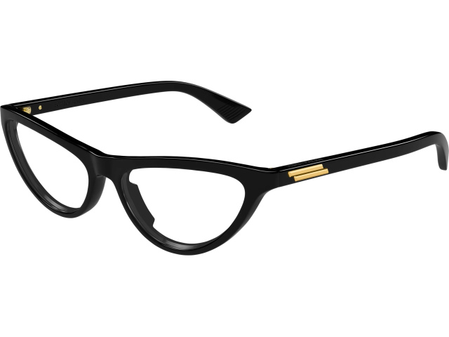 Bottega Veneta BV1416O-001 55 ��� ����� �������������