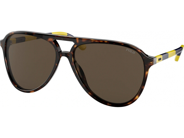 Polo PH4173 500373 Shiny Dark Havana