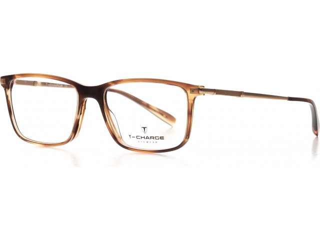 T-Charge T6216E01