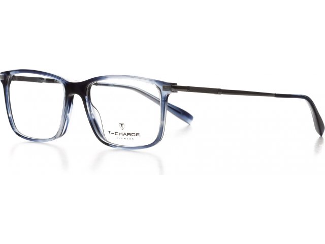 T-Charge T6216E02