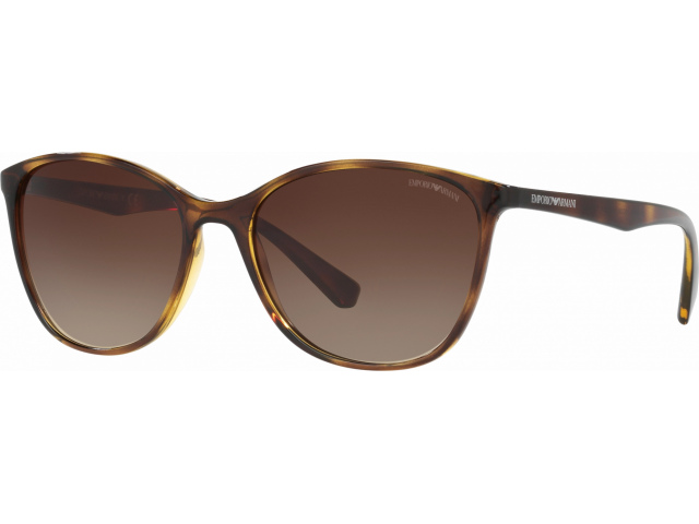 Emporio Armani EA4073 502613