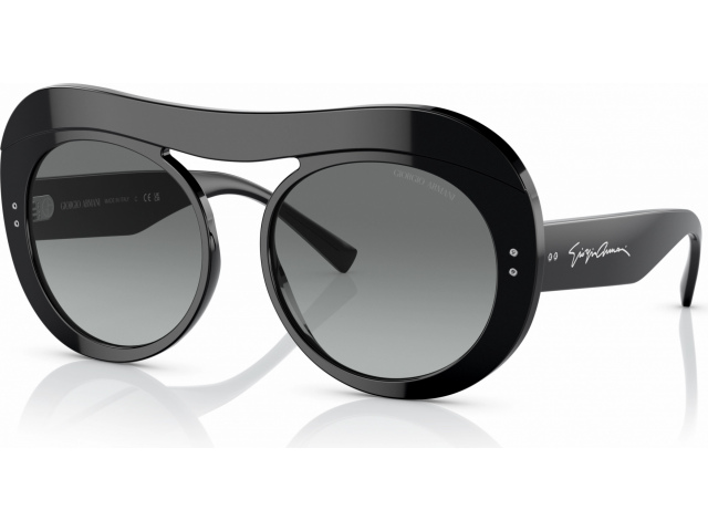 Giorgio Armani AR8178 500111 Black