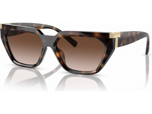 Tiffany TF4205U 80153B Tortoise