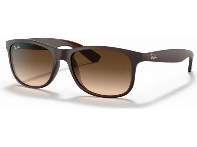 Ray-Ban Andy RB4202 607313