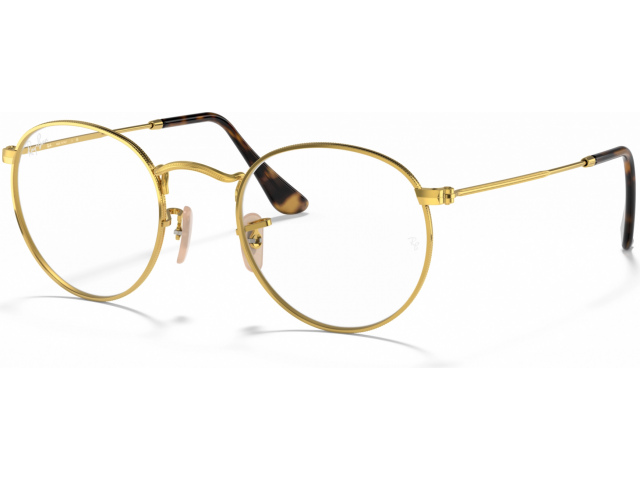 Ray-Ban Round Metal RX3447V 2500