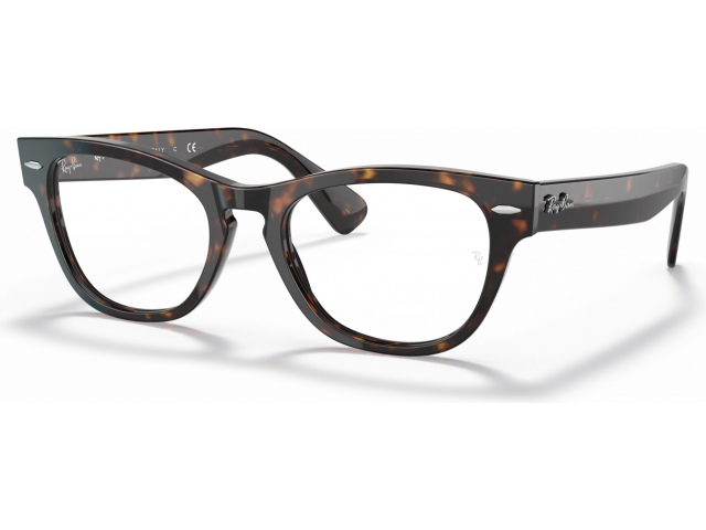 Ray-Ban Laramie RX2201V 2012 Havana