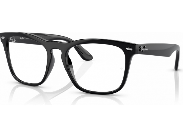 Ray-Ban Steve RX4487V 8192 Black