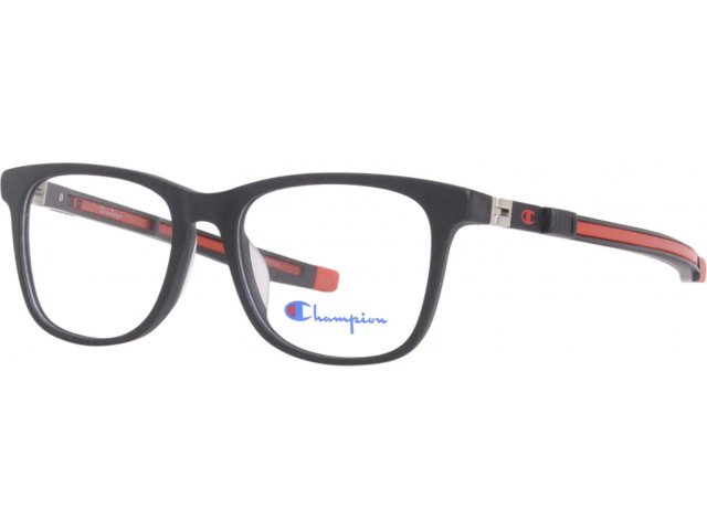 Champion Guard C01