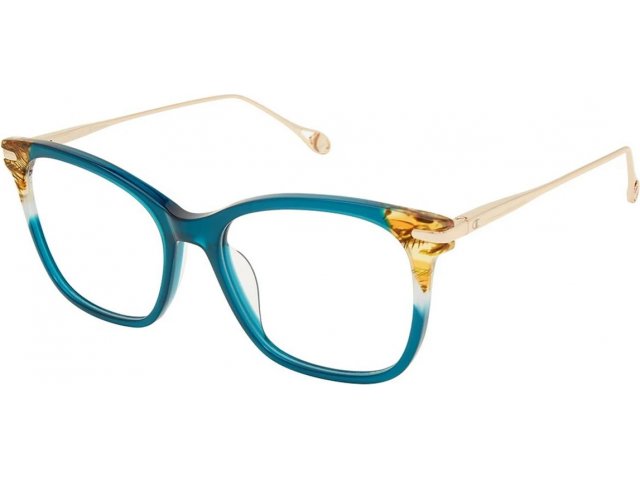Champion Tabi C03