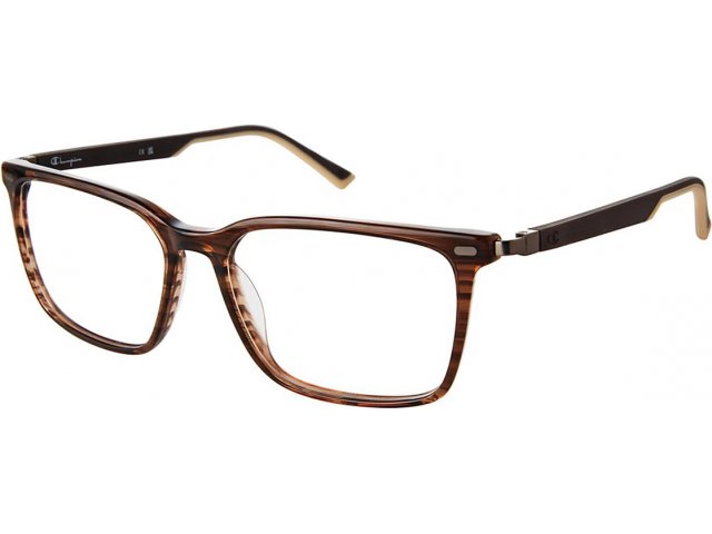 Champion Surgex 100 C02