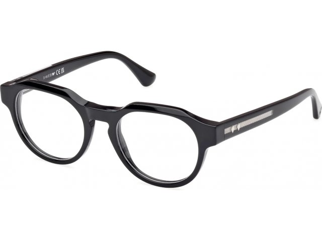 Web Eyewear WE 5421 005 49