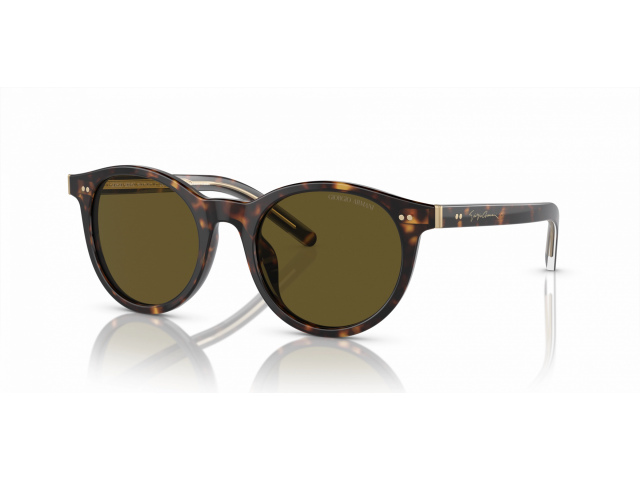 Giorgio Armani AR8199U 587973 Tortoise