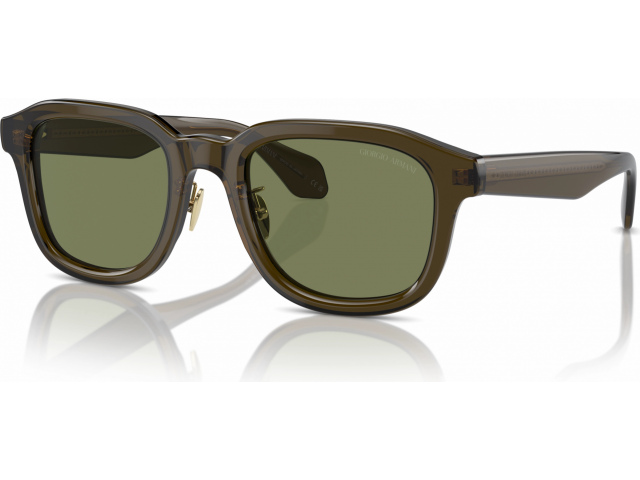 Giorgio armani AR8206 60612A Green