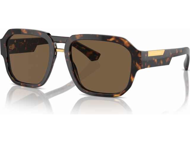 Dolce & Gabbana DG4464 502/73 Tortoise