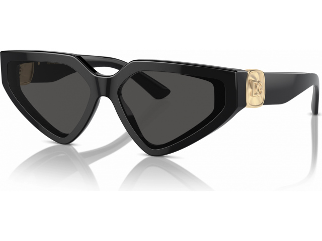 Dolce & Gabbana DG4469 501/87 Black