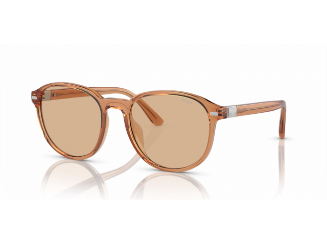 Polo Ralph Lauren PH4207U 604873 Brown