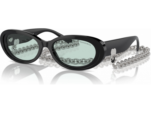 Tiffany TF4221 8001D9 Black