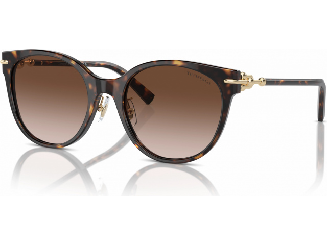 Tiffany TF4223D 80153B Tortoise