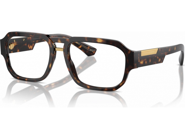 Dolce & Gabbana DG3389 502 Tortoise