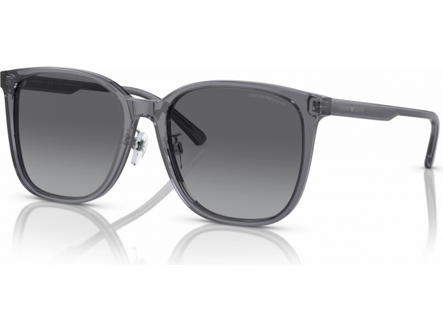 Emporio Armani EA4206D 5029T3 Grey