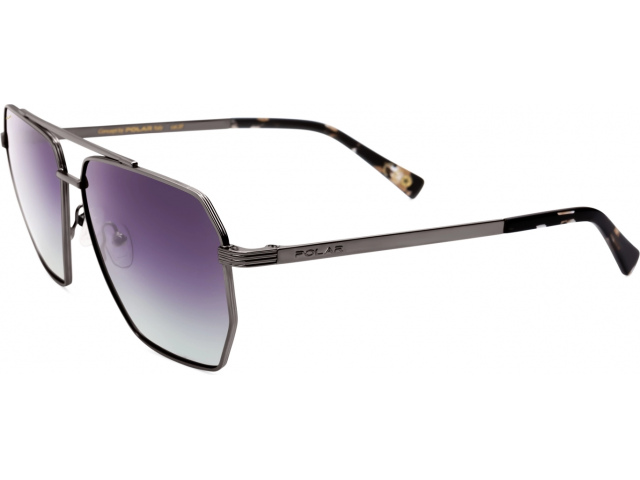 Polar model Gold 308 col. 48/F