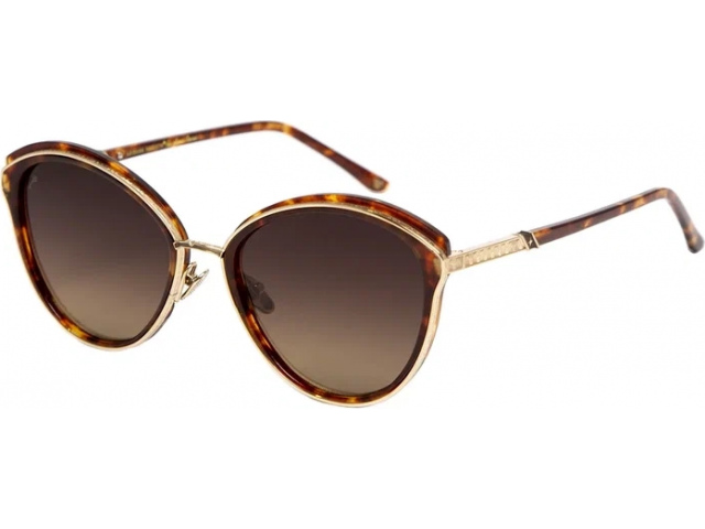  Leisure Society Lovelace. TORTOISE