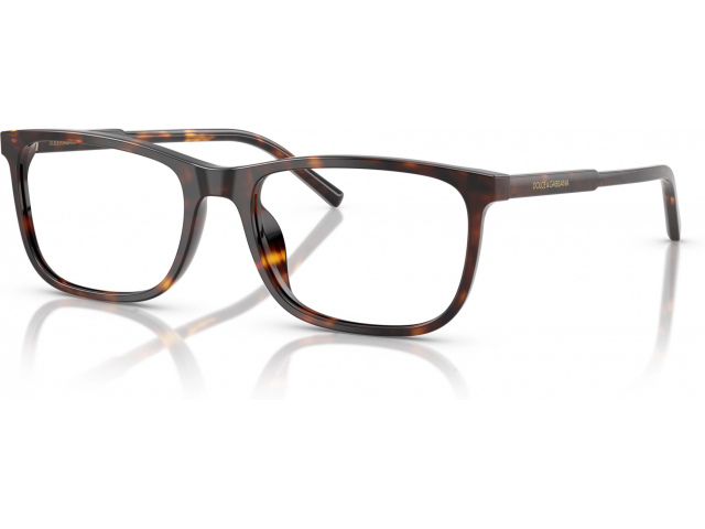 Dolce & Gabbana DG3427 502 Tortoise