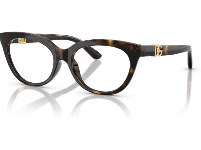 Dolce & Gabbana DX5005U 502 Tortoise