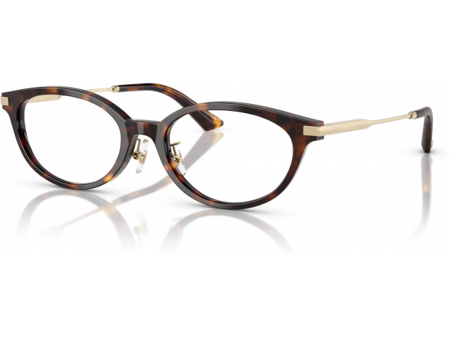 Jimmy Choo JC3029D 5002 Tortoise
