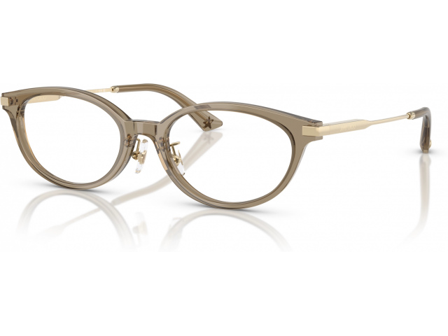 Jimmy Choo JC3029D 5051 Brown