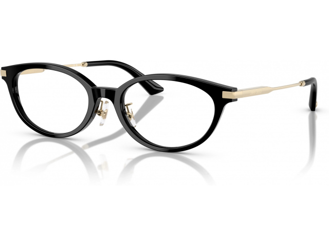 Jimmy Choo JC3029D 5000 Black