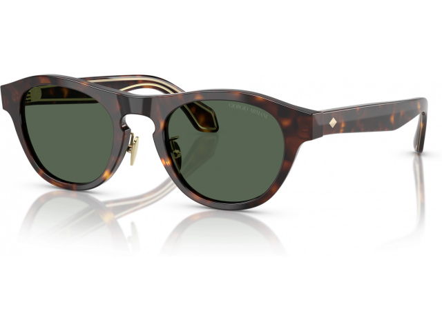 Giorgio Armani AR8225 502671 Tortoise
