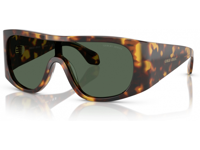 Giorgio Armani AR8222U 509271 Tortoise