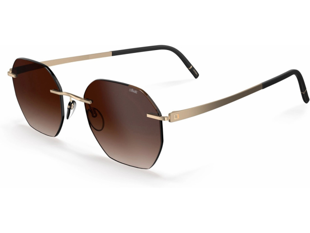 Silhouette 8748 7520