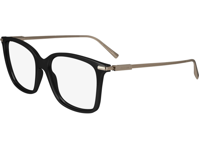 SALVATORE FERRAGAMO SF2992 1,  BLACK, CLEAR