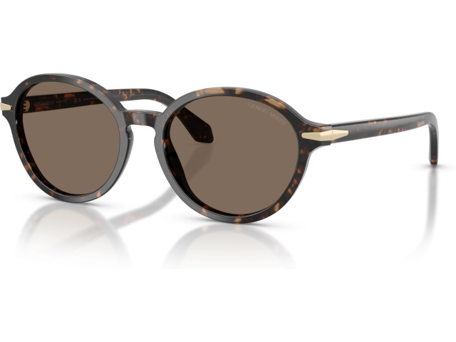 Giorgio Armani AR8237 623573 Tortoise