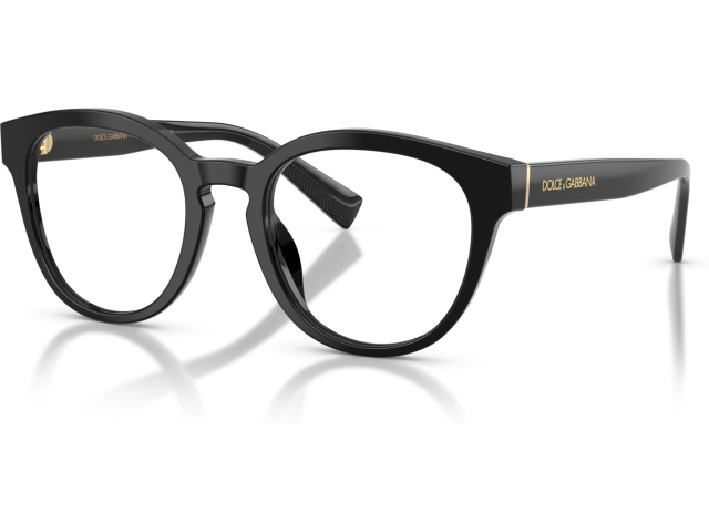 Dolce & Gabbana DG3421 501 Black
