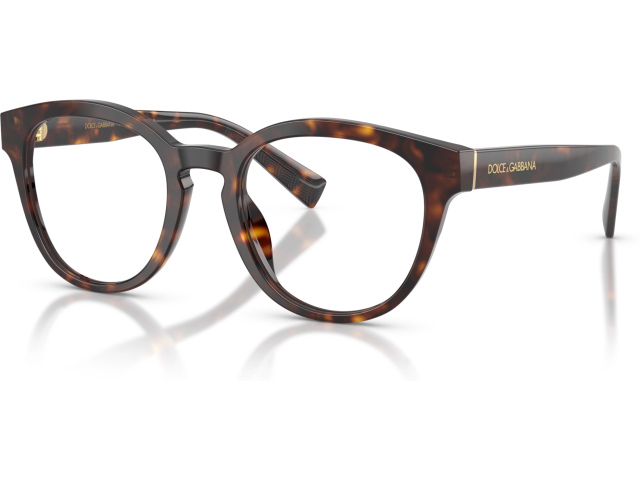 Dolce & Gabbana DG3421 502 Tortoise