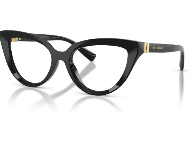 Dolce & Gabbana DG3414 501 Black